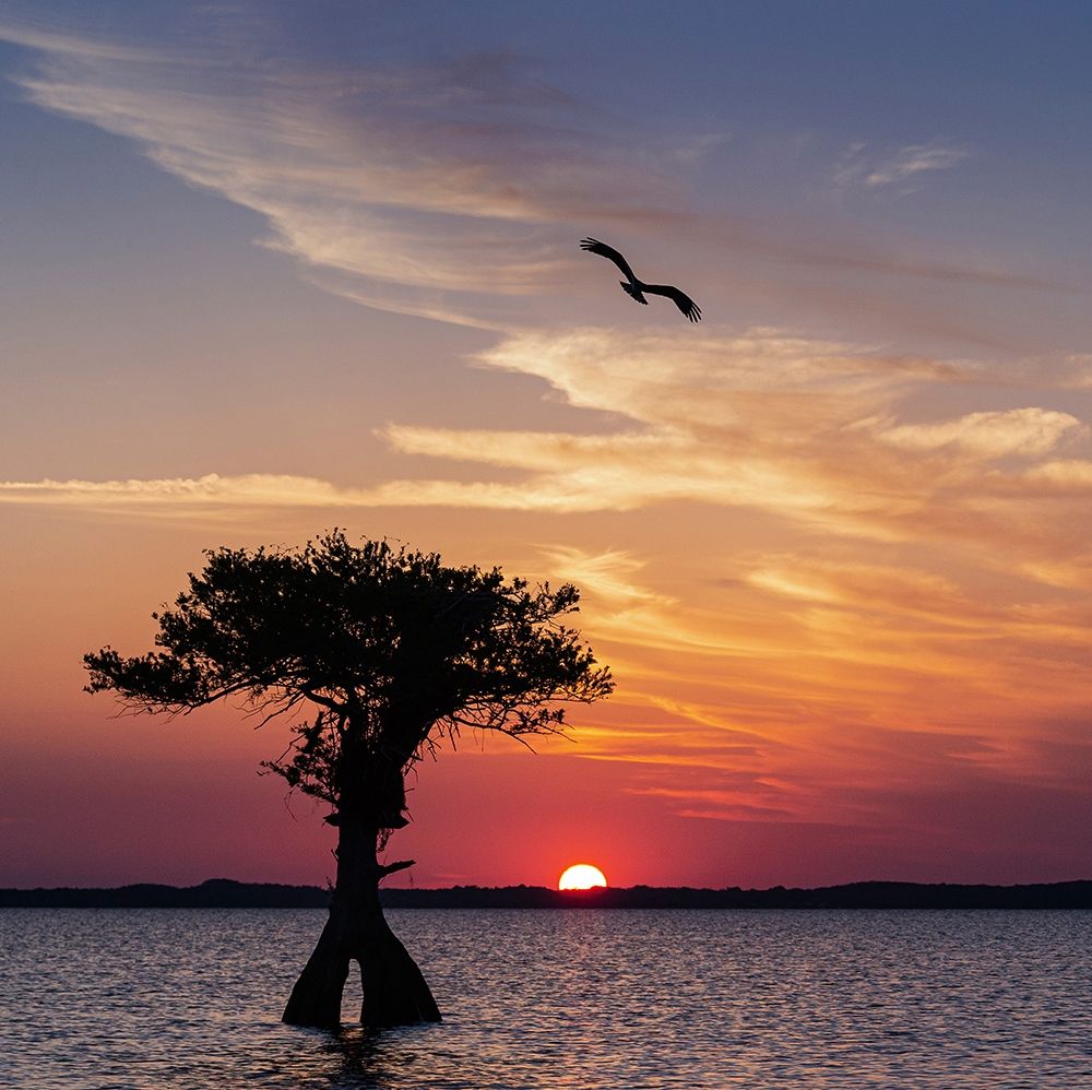 Sunset on Blue Cypress Lake Conservation Area-Vero Beach-Florida